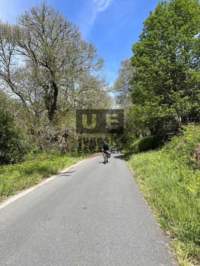 "Camino de Santiago" stock image