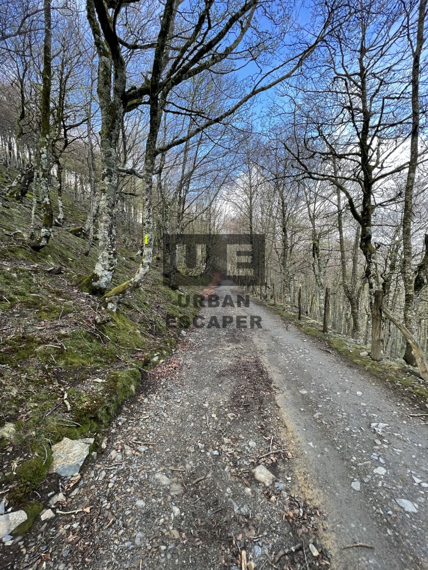 "Camino de Santiago" stock image