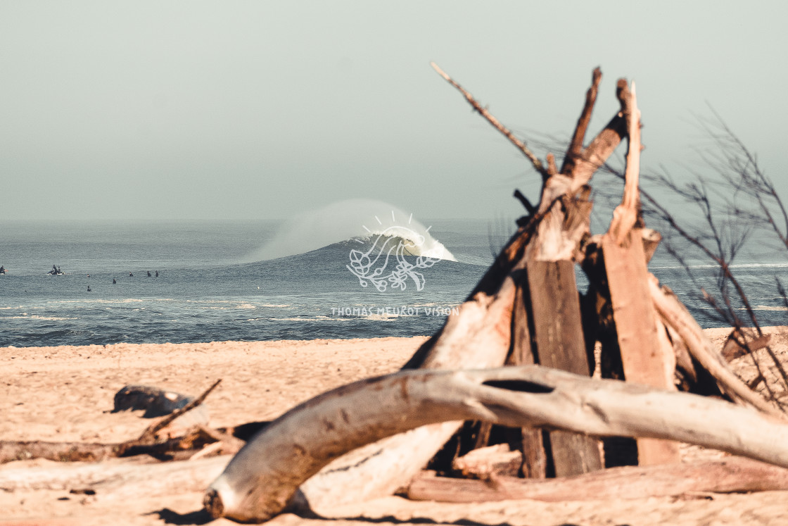 "SURF seignosse le penon Longboard Small waves Sunset ocean atlantic Capbreton..." by Thomas Meurot - $37.90 "SURF seignosse le penon Longboard Small waves Sunset ocean atlantic Capbreton..." stock image