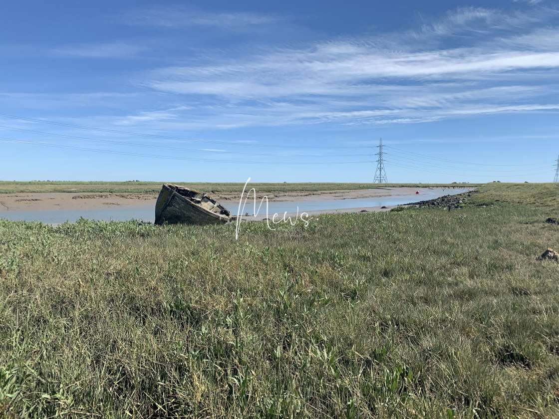 "Boat in the wetlands" stock image