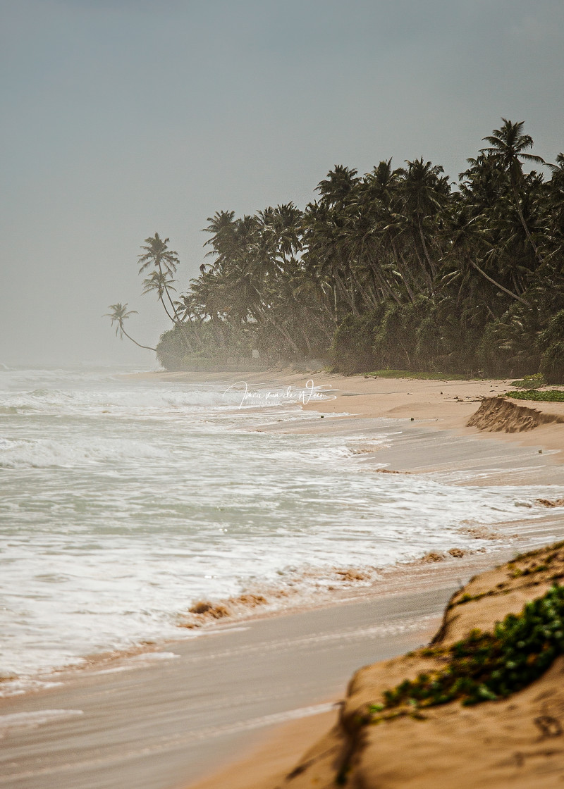 "Beach at Sri Lanka" stock image