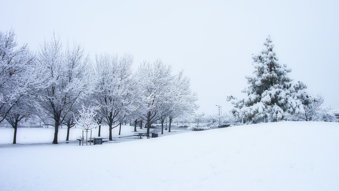 "Las Vegas Snow Scene" stock image