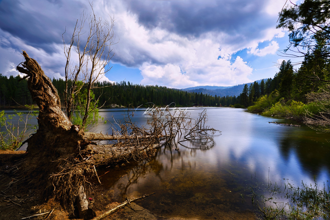 "Hume Lake Fallen Tree Long Exposure" stock image