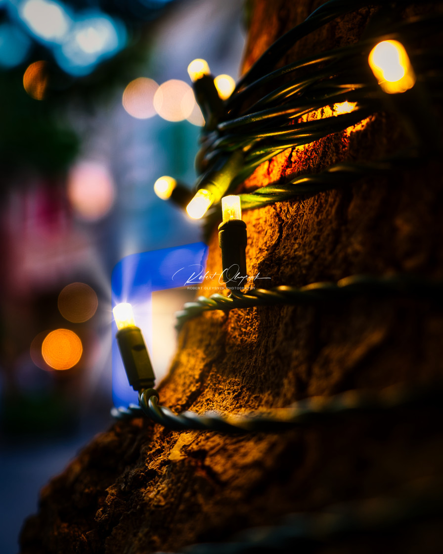 "Closeup Christmas Lights Wrapped Around A Tree" stock image