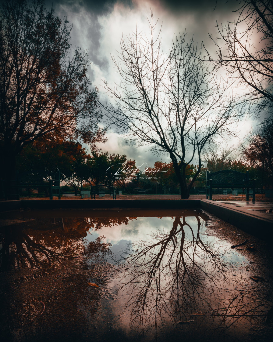 "Gardens Park After Rainfall" stock image