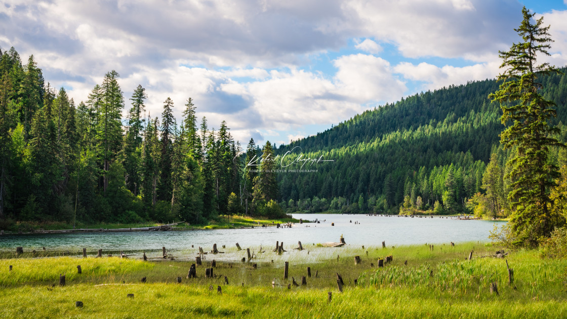 "Swan River Wide Landscape" stock image