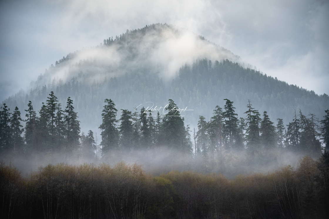 "Hoh River Stratus Fog Peak" stock image