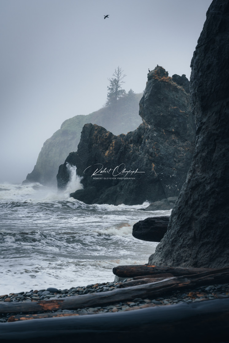 "Ruby Beach Layers" stock image