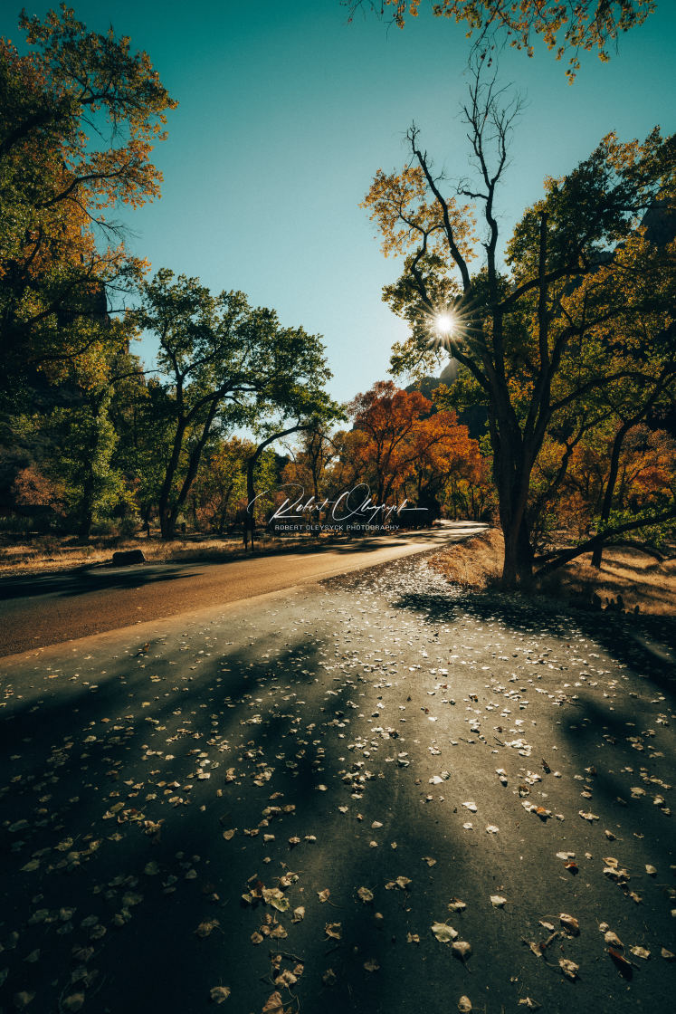 "Kayenta Trail Road 2x3 - Zion National Park" stock image