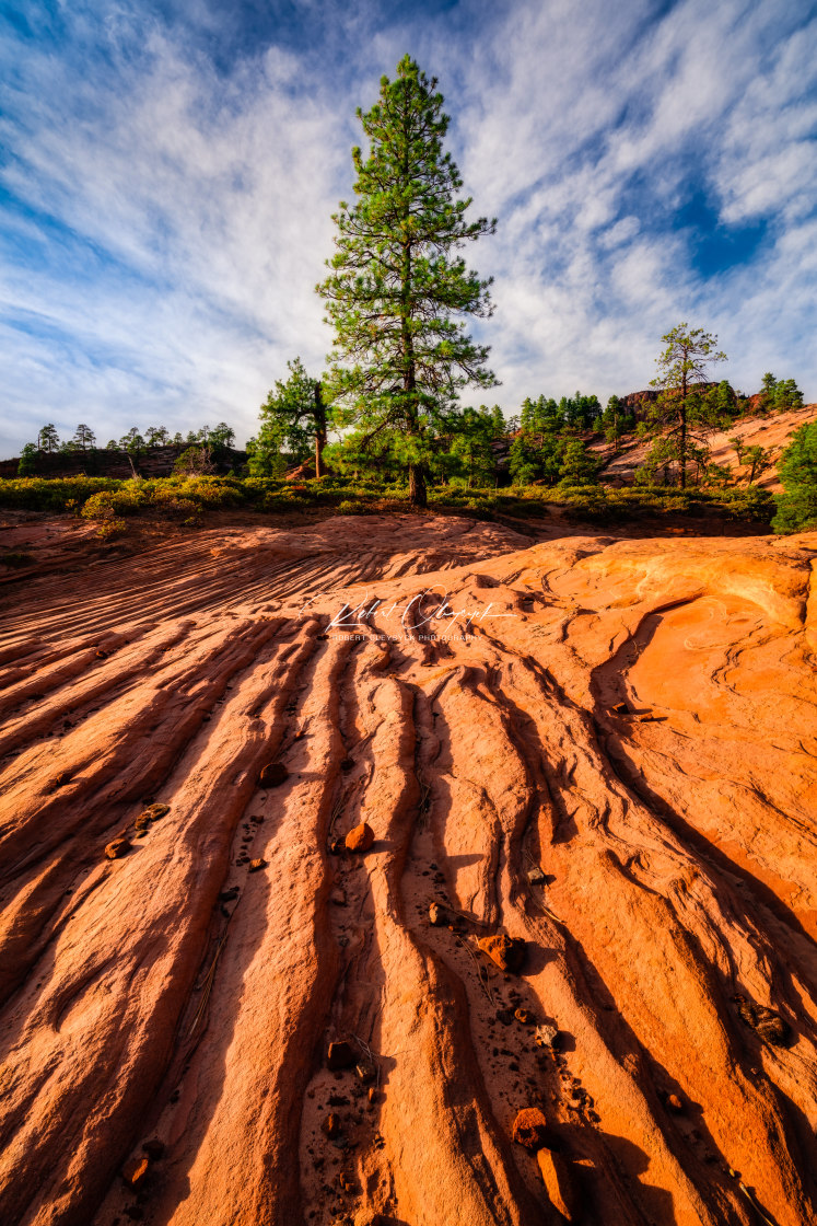 "Zion's Linear Laminae Waves" stock image