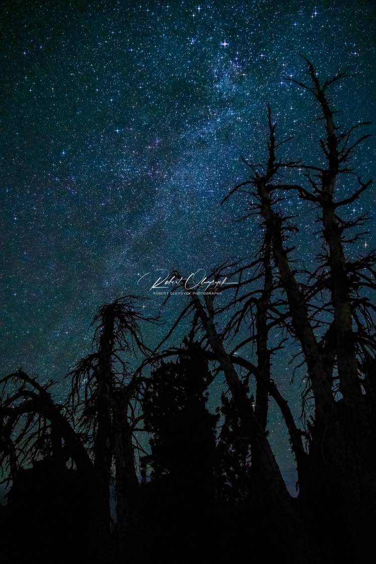 "Night Sky Silhouette Over Minaret Vista C" stock image