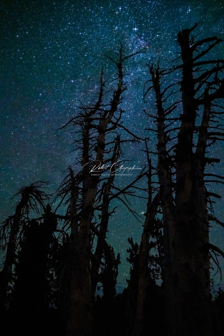 "Night Sky Silhouette Over Minaret Vista B" stock image