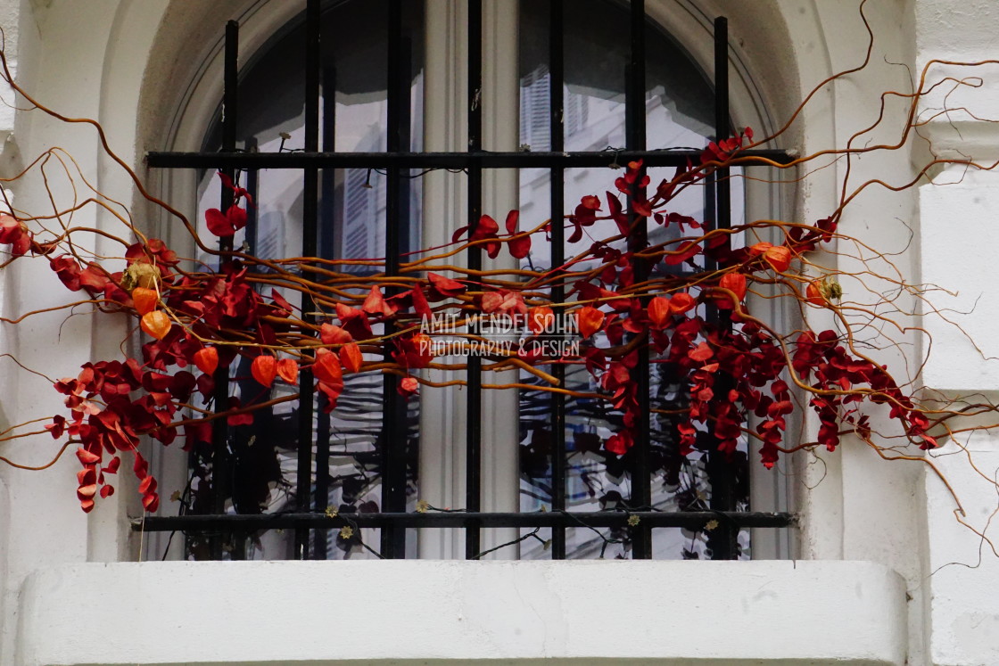 "Decorated window" stock image