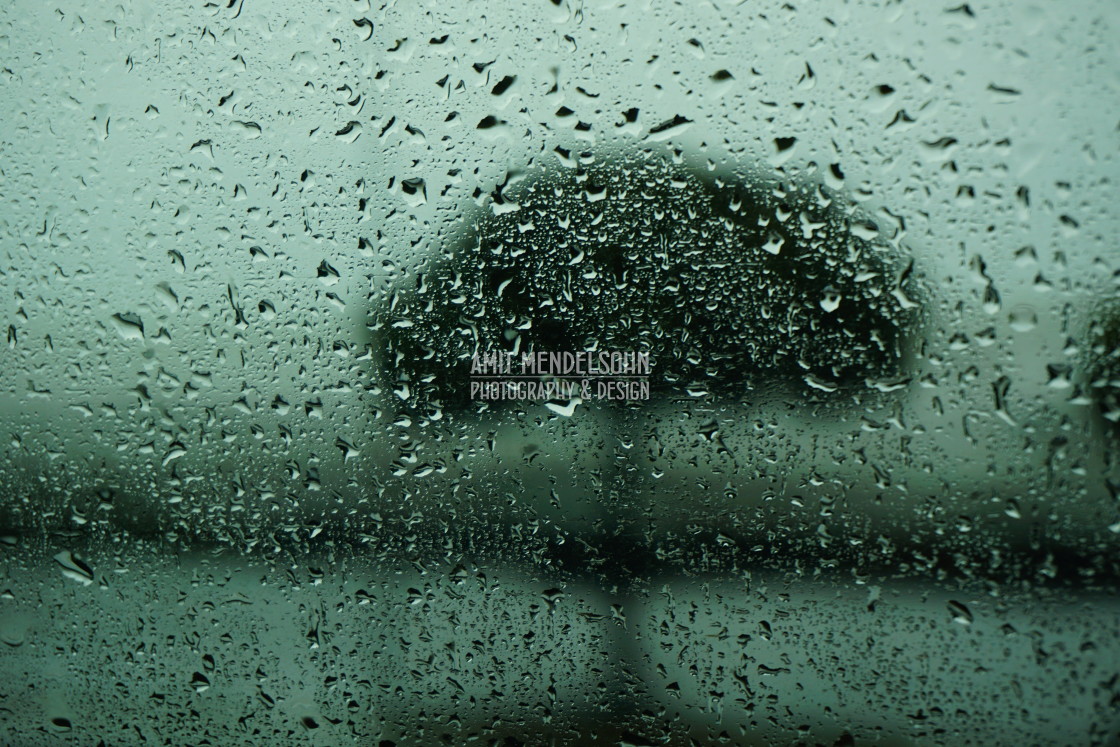 "A tree behind glass" stock image