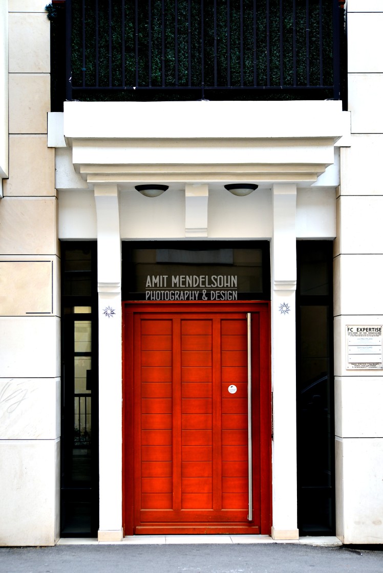 "Classy entrance door" stock image