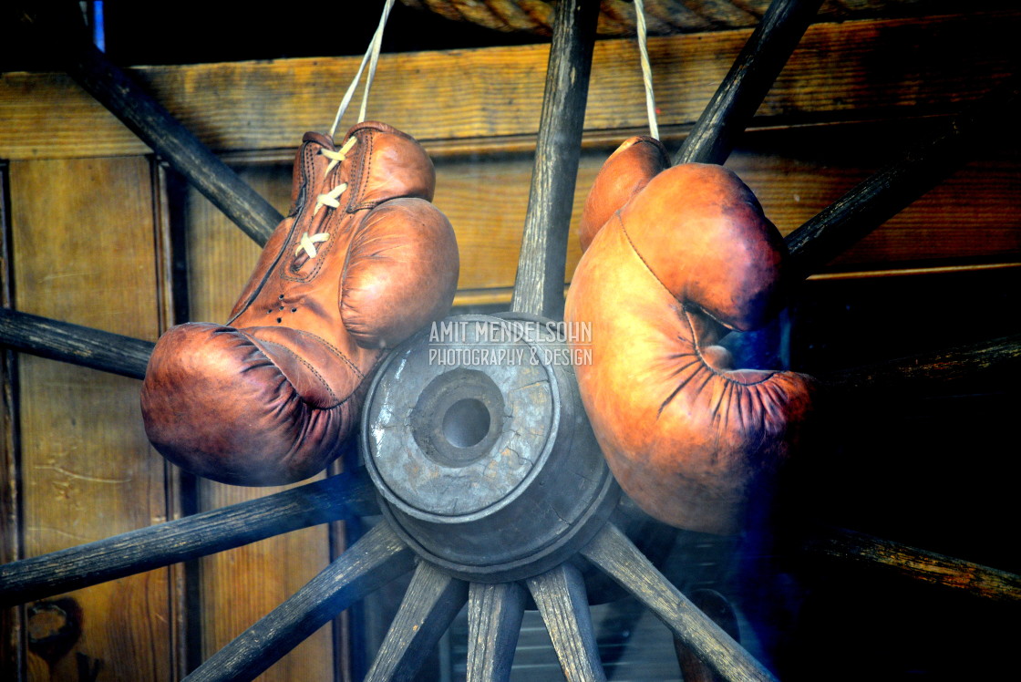 "Retired boxer" stock image