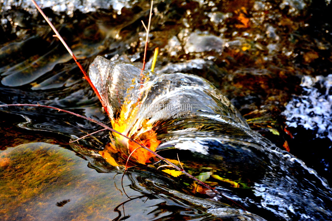 "A current of water" stock image