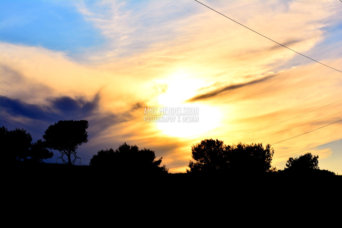 "Sunset over the trees" stock image