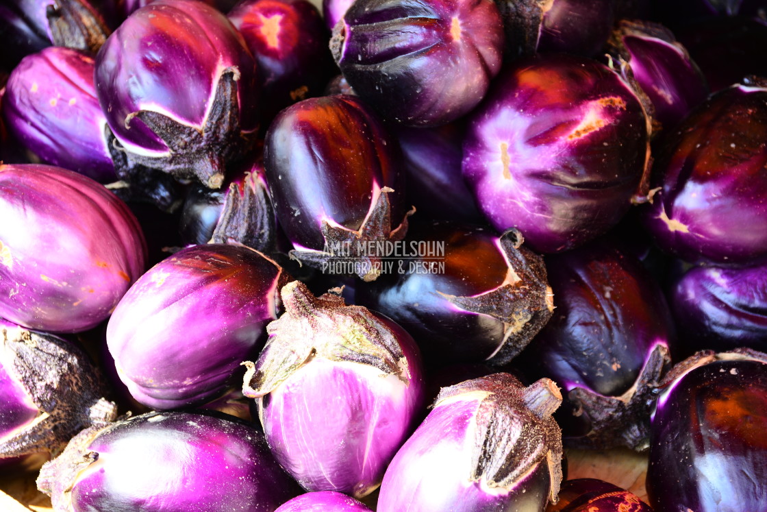 "Eggplants" stock image