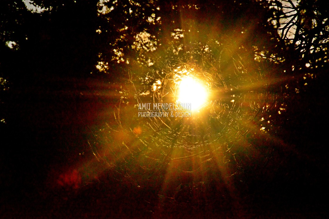 "Sun spot" stock image