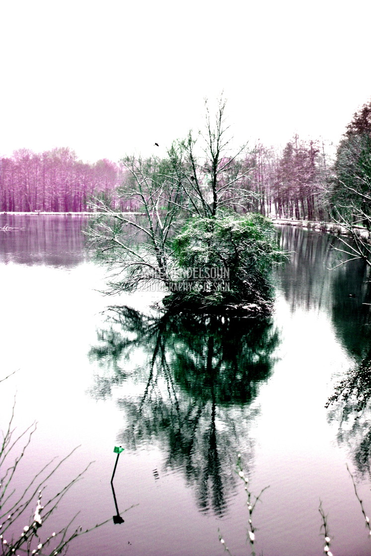 "A lake with an island" stock image