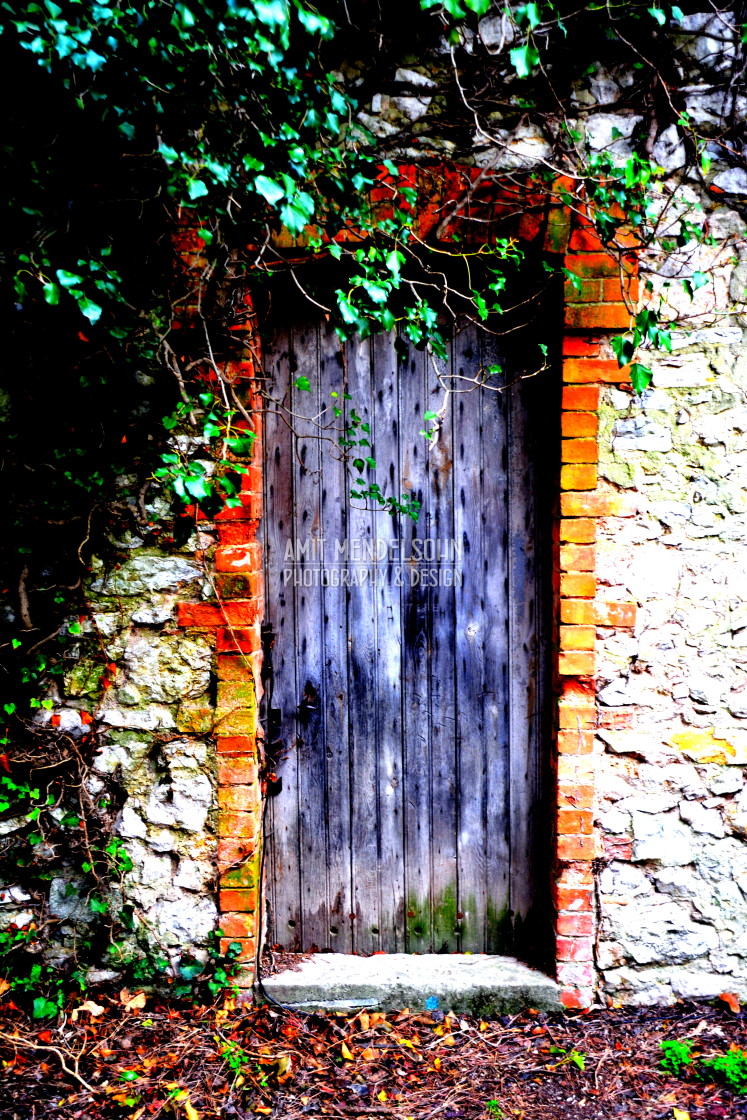 "A hidden door" stock image