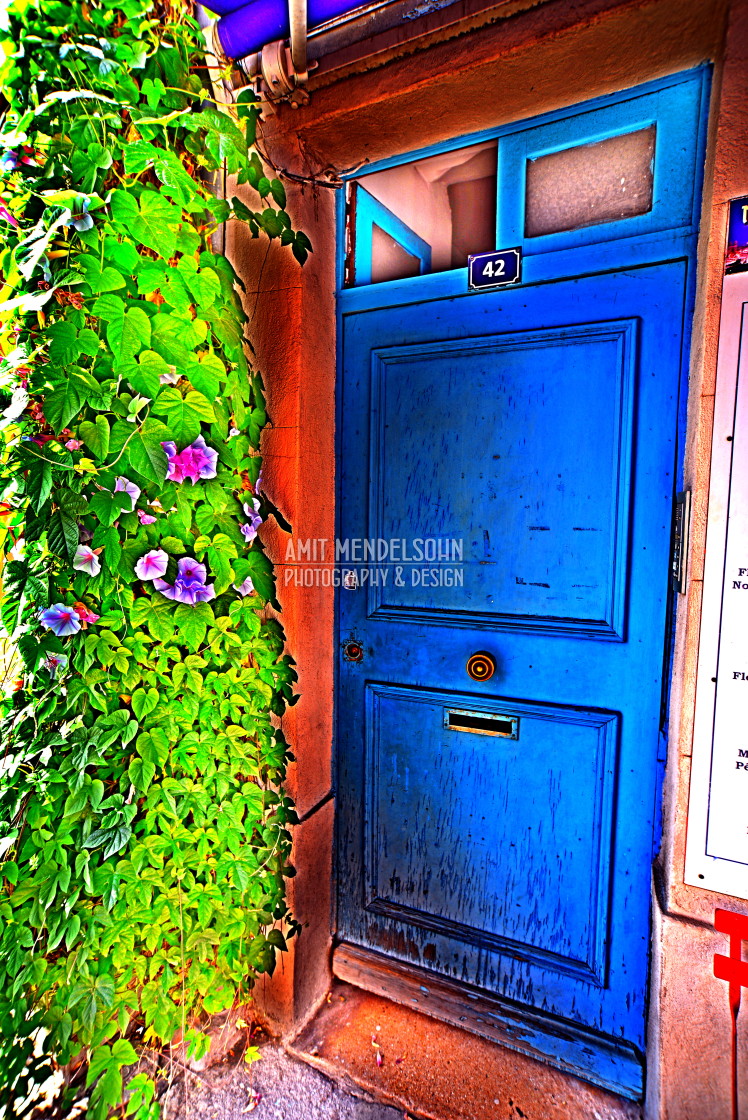 "A door with a plant" stock image