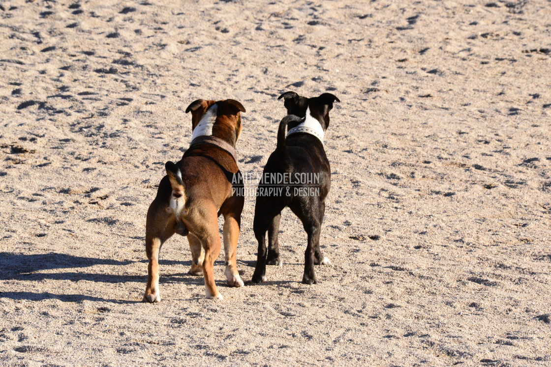 "Looking there" stock image