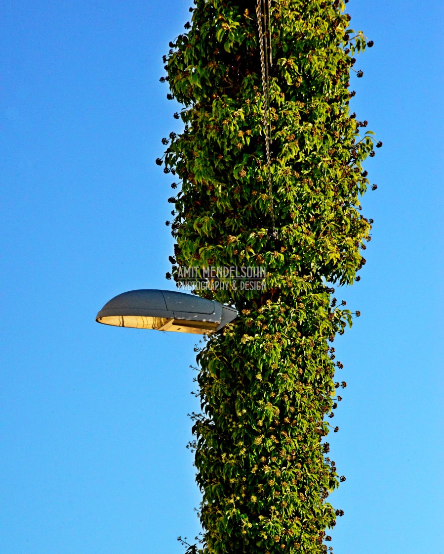 "A lamp undercover" stock image