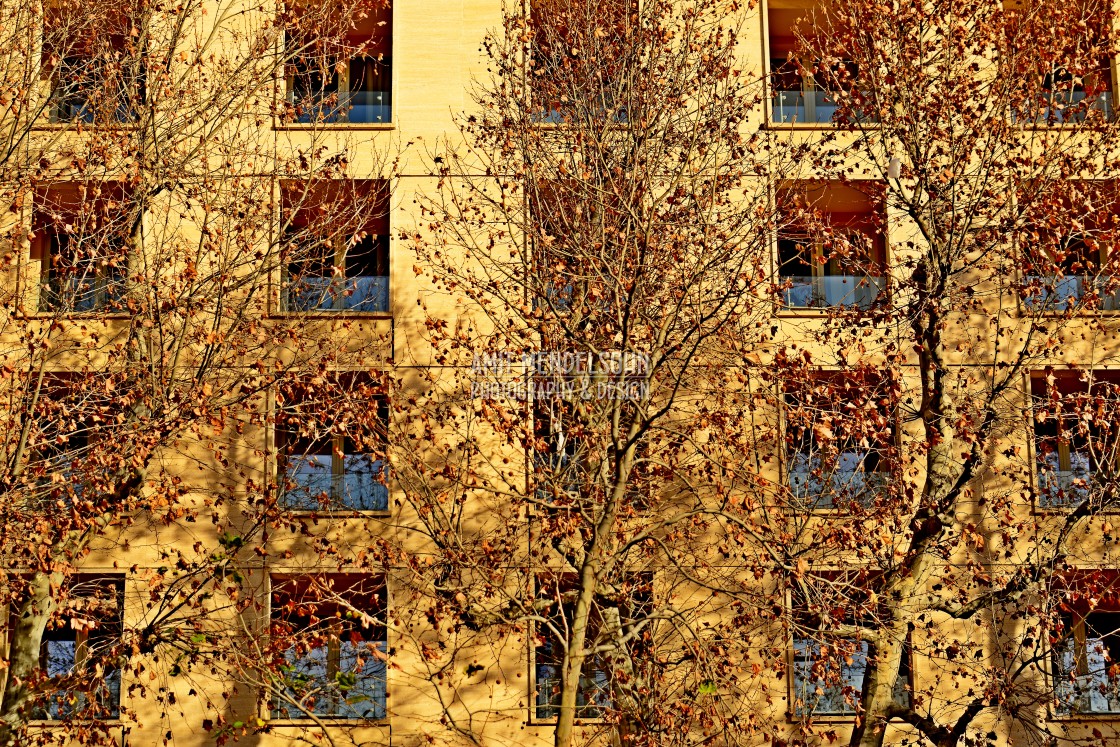 "Trees in front of a building" stock image