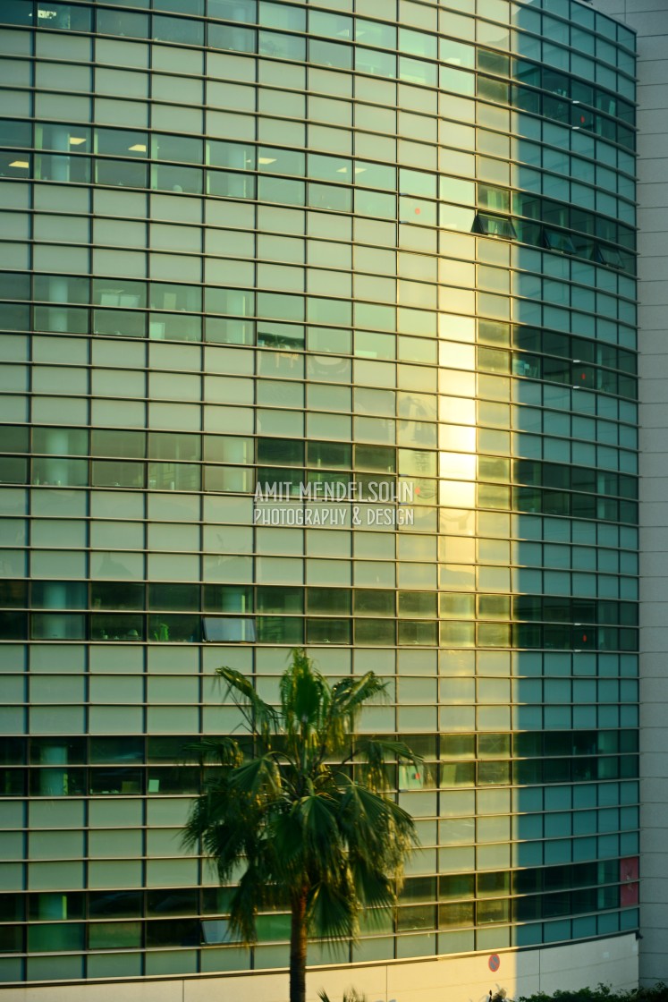 "A sunset a building and a tree" stock image