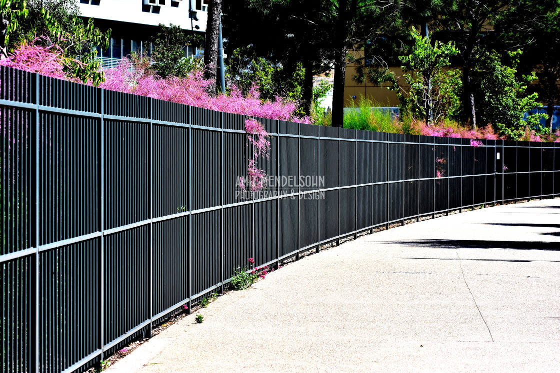 "A rounded fence with flowers" stock image