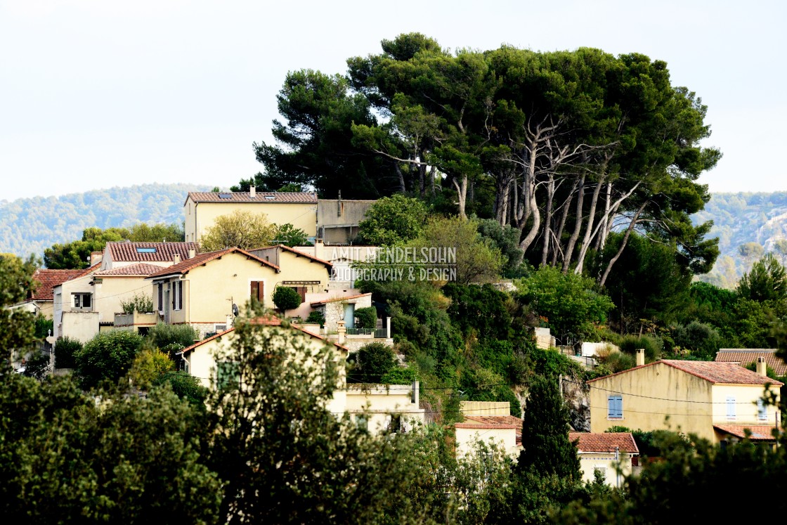 "Living in the nature" stock image