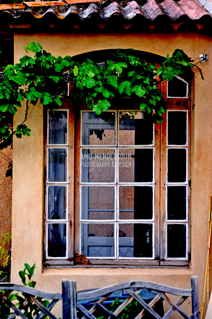 "A window with a plant" stock image