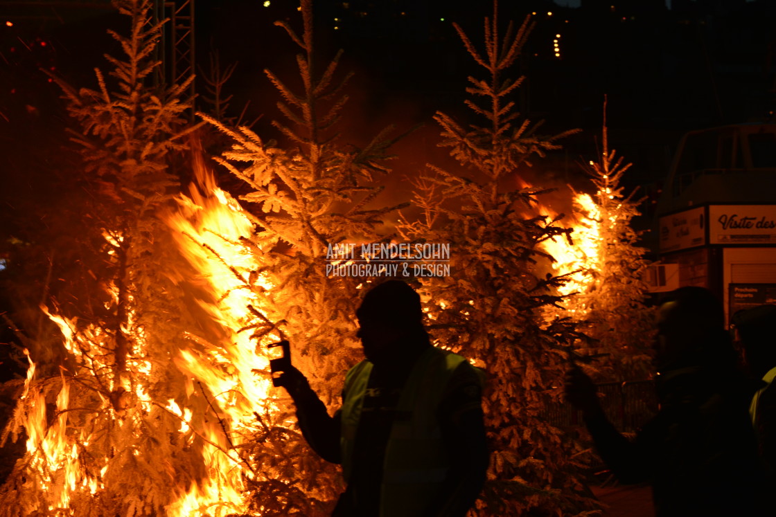 "Christmas trees on fire" stock image