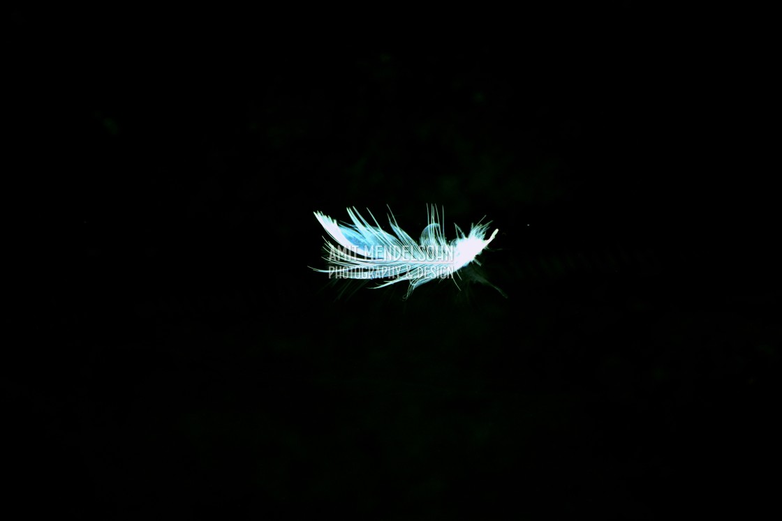 "A feather falling" stock image