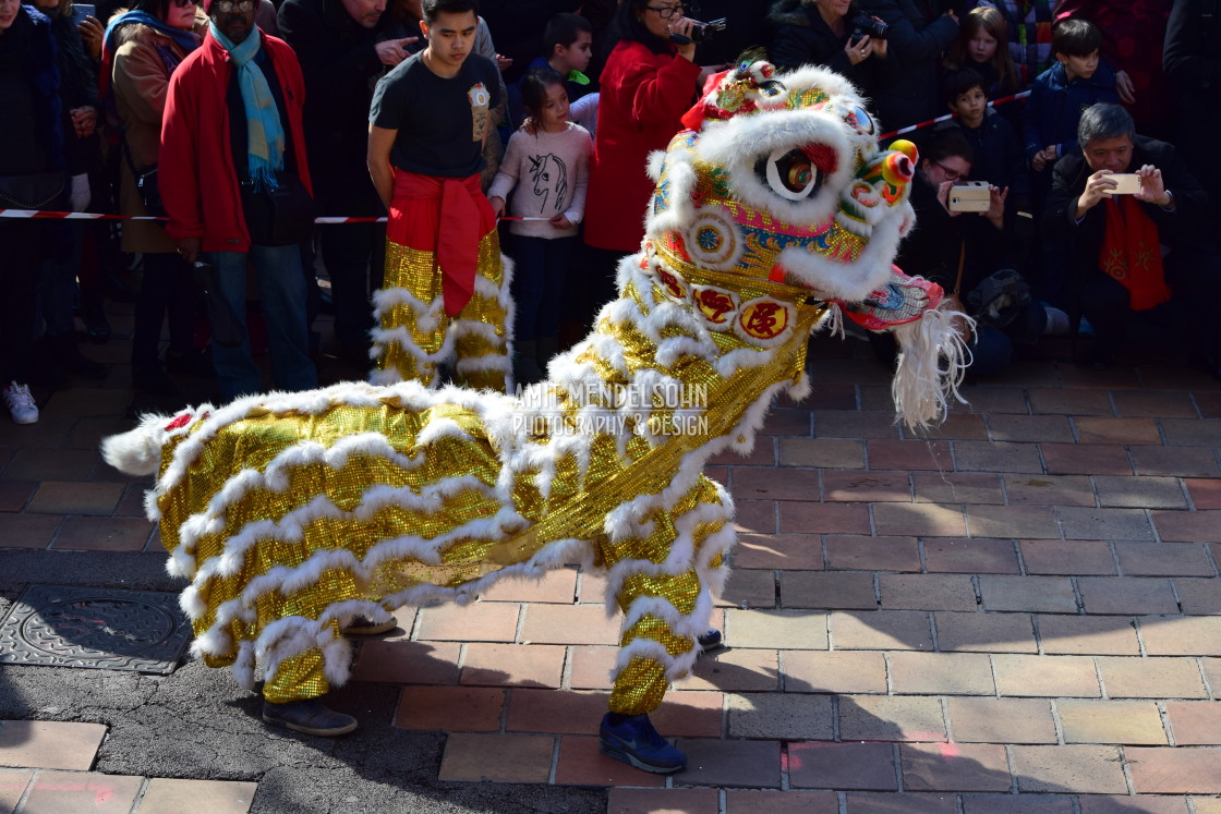 "Chinese dog custom" stock image