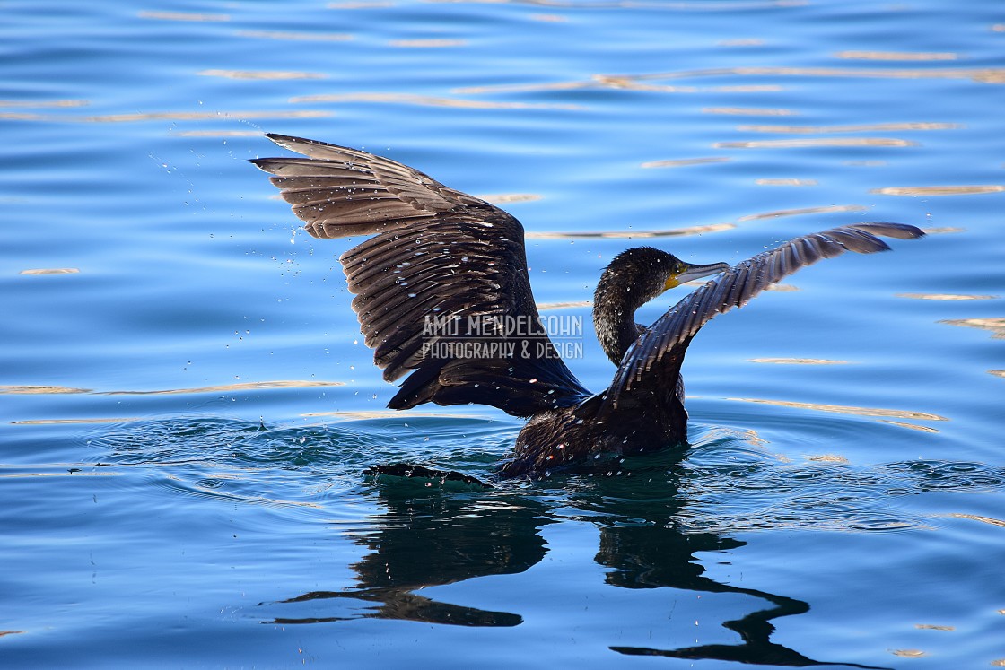 "Taking off" stock image