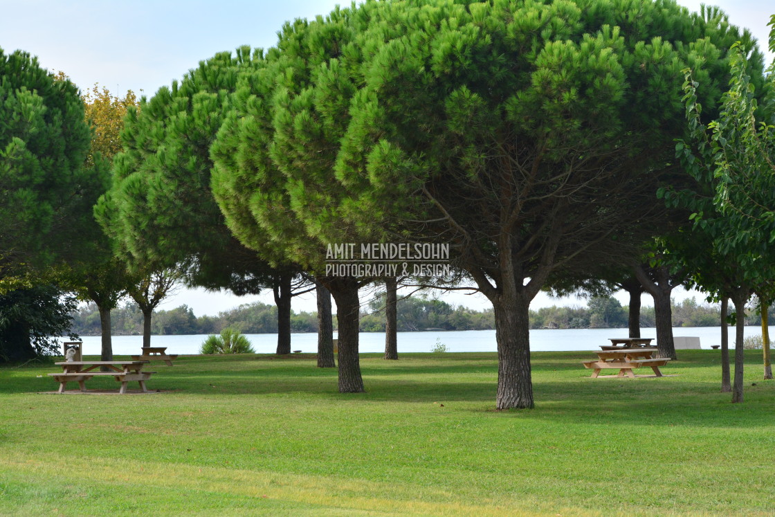 "St. Louis - Camargue" stock image