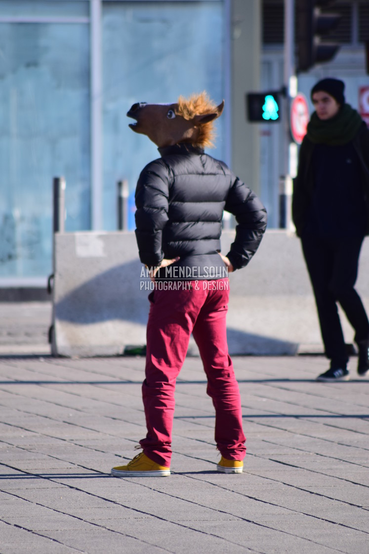 "A donkey in the streets" stock image