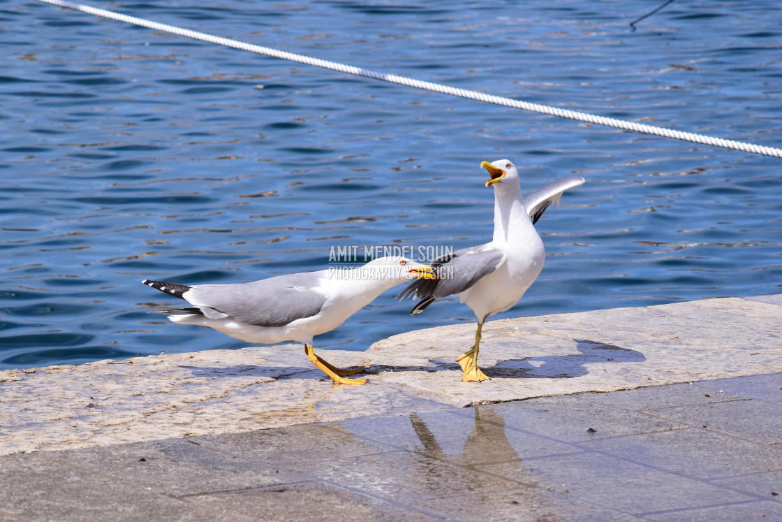 "You are annoying" stock image