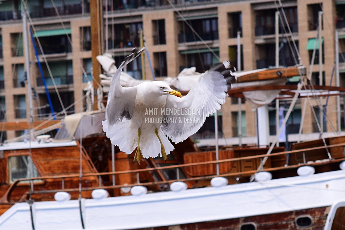 "Waving" stock image