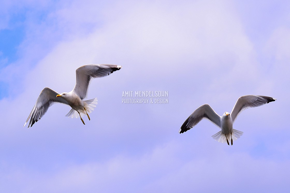 "A flying couple" stock image