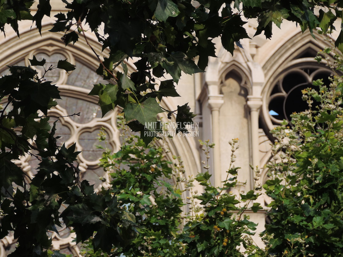 "The reformé church behind trees" stock image