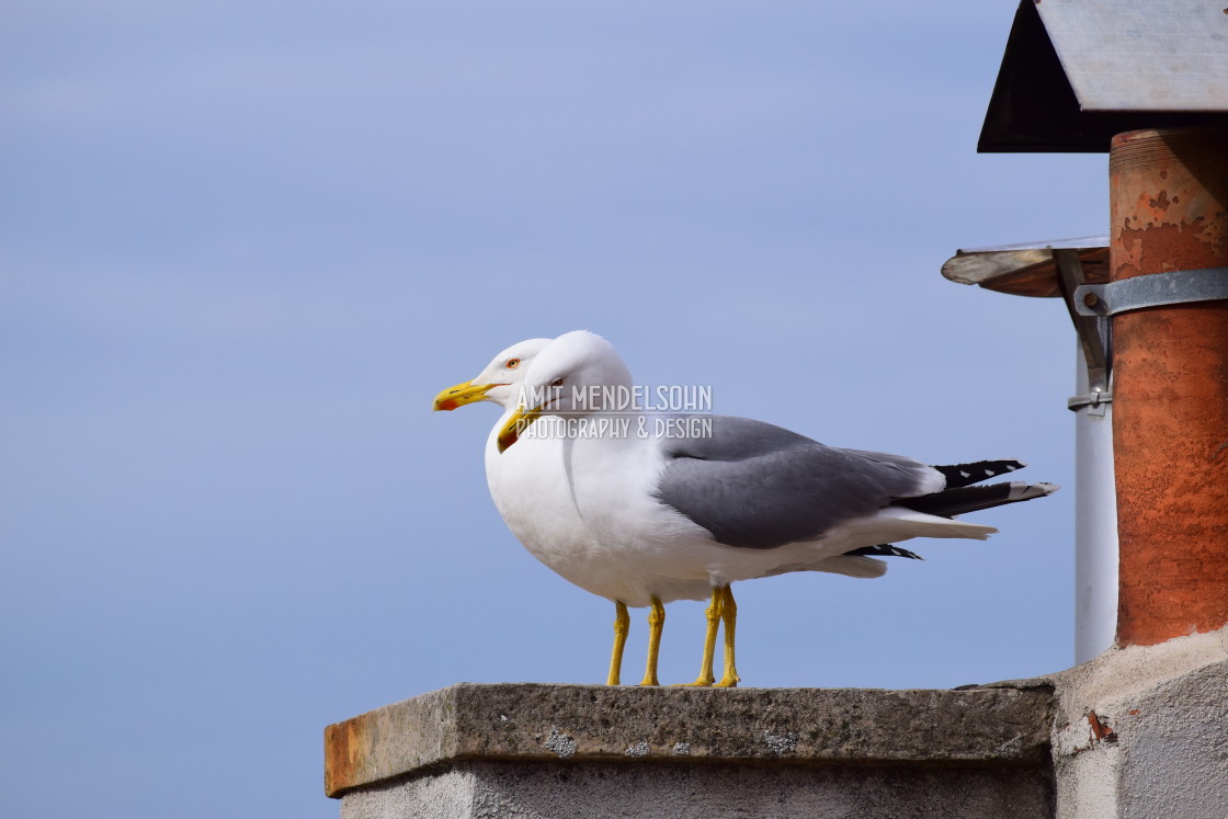 "Mum and dad" stock image