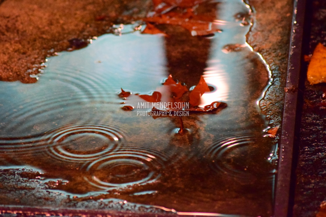 "A pond" stock image