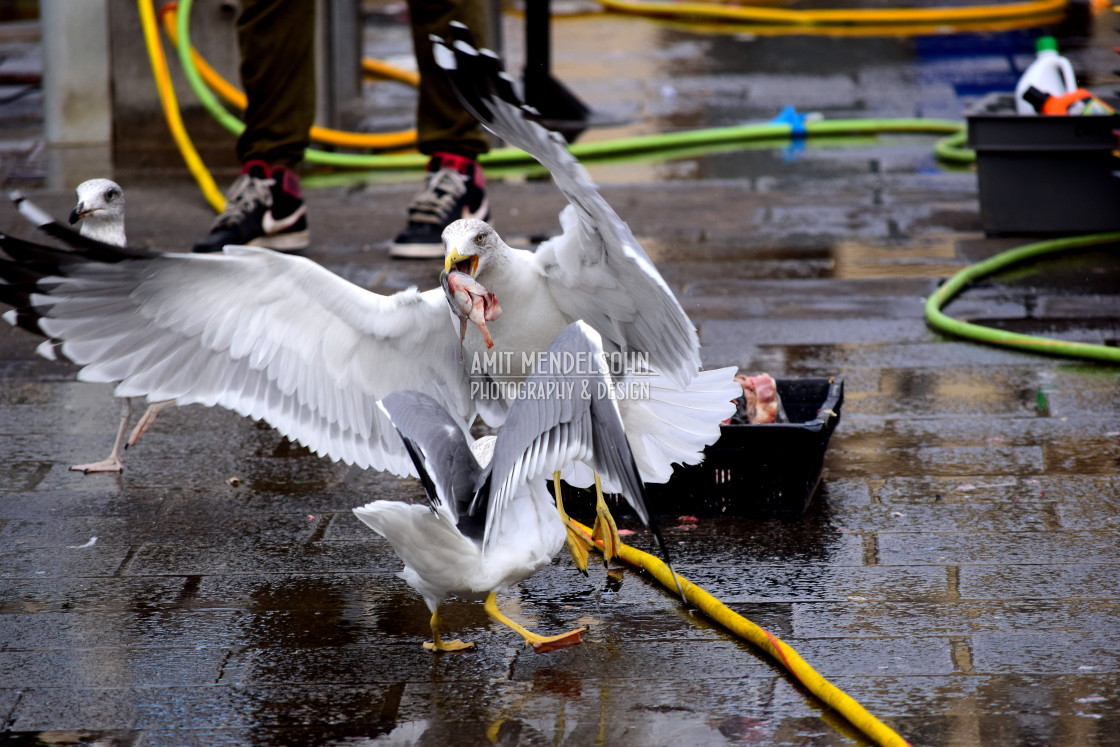 "Got it now let me go" stock image