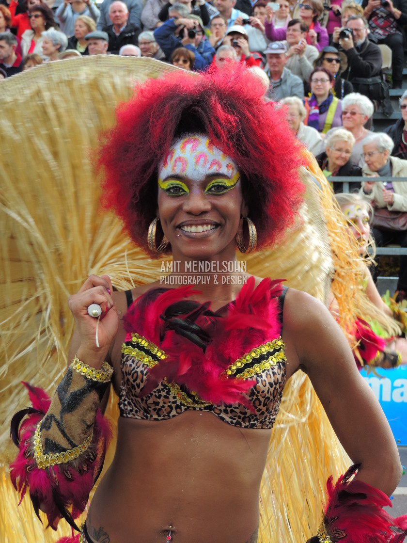 "The Carnival of Nice 14" stock image