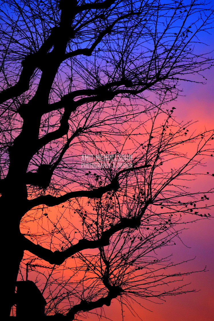 "Sunset in red and blue" stock image