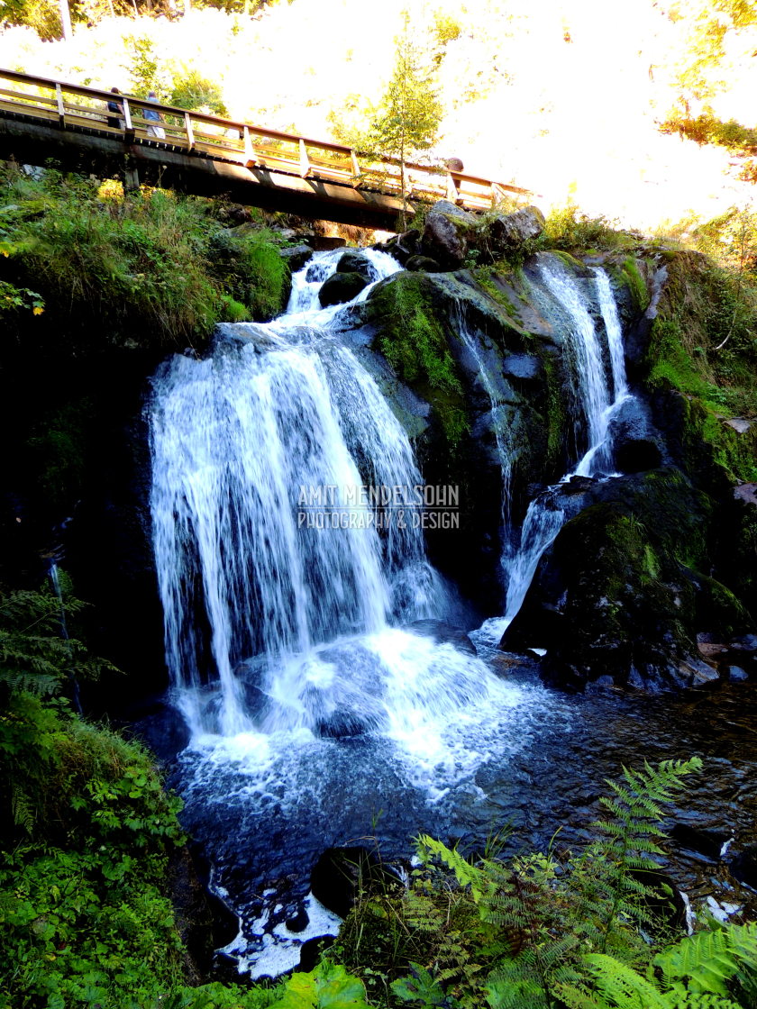 "Germany - the black forest - water falls" stock image